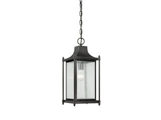 Dunnmore 1-Light Outdoor Hanging Lantern in Black