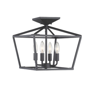 Townsend 4-Light Ceiling Light in Matte Black