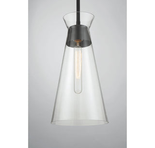 Lakewood 1-Light Pendant in Matte Black