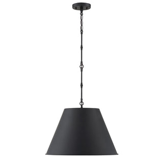 Alden 1-Light Pendant in Matte Black