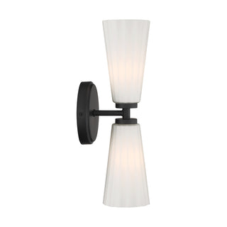 2-Light Wall Sconce in Matte Black