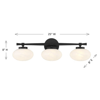 Barrow 3-Light Bathroom Vanity Light in Matte Black