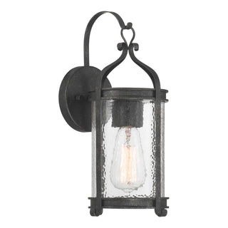 Preston 1-Light Outdoor Wall Lantern in Iron Oxide