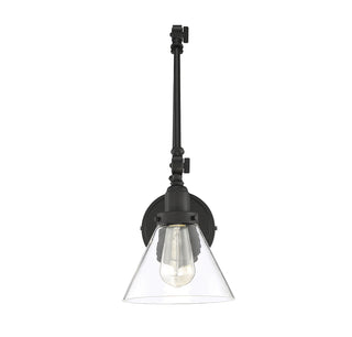 Drake 1-Light Adjustable Wall Sconce in Matte Black