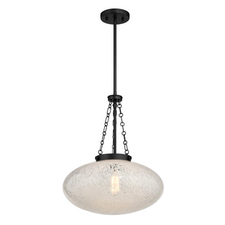 Willow 1-Light Pendant in Matte Black