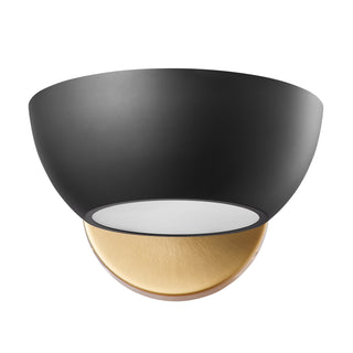 1-Light Wall Sconce in Matte Black and Natural Brass