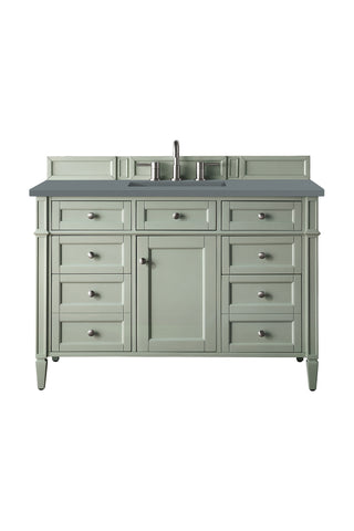48 Inch Brittany Freestanding Vanity in Sage Green / Cala Blue Top