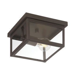 Evanton 8" Wide 1-Light Outdoor Flush Mount