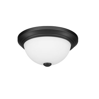 2-Light Flushmount Ceiling Light Matte Black