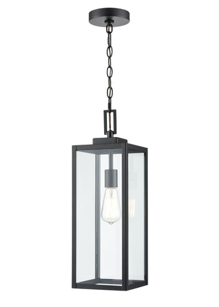 1-Light Outdoor Hanging Lantern - Powder Coated Black