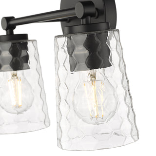 Ashli 2-Light Vanity Matte Black