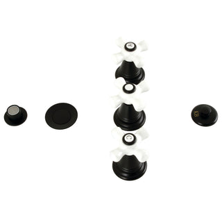 Victorian Bidet Faucet in Matte Black