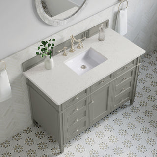 48 Inch Brittany Freestanding Vanity in Urban Gray / Lime Delight Top