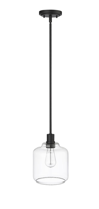 Asheville 1-Light Mini-Pendant Light Matte Black
