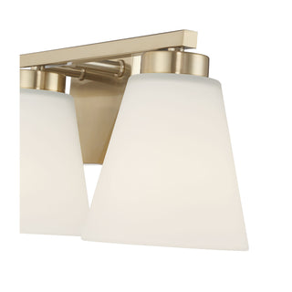 Strayhan 22" Wide 3-Light Vanity