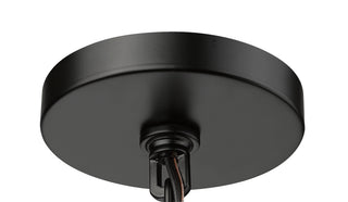 Denzell 8.25" Wide 1-Light Outdoor Hanging Lantern - Powder Coated Black