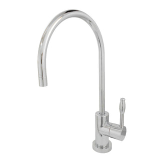 Nustudio Water Filtration Faucet in Polished Chrome