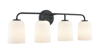 Laphia 28" Wide 4-Light Vanity - Matte Black