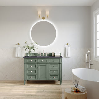 48 Inch Brittany Freestanding Vanity in Smokey Celadon / Charcoal Soapstone Top