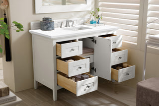 48 Inch Palisades Freestanding Vanity in Bright White / White Zeus Top