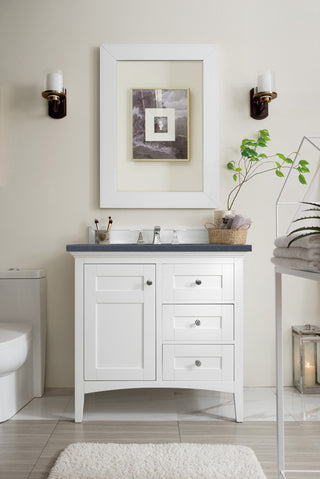 36 Inch Palisades Freestanding Vanity in Bright White / Charcoal Soapstone Top
