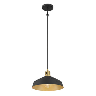 Axlen 12" Wide 1-Light Pendant