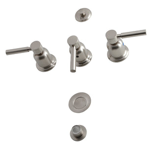 Concord Bidet Faucet in Brushed Nickel
