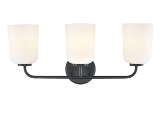 Laphia 22" Wide 3-Light Vanity - Matte Black