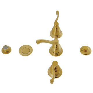 Royale Bidet Faucet in Brushed Brass