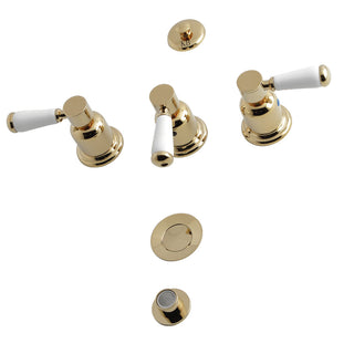 Paris Bidet Faucet in Polished Brass