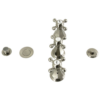 Metropolitan Bidet Faucet in Brushed Nickel