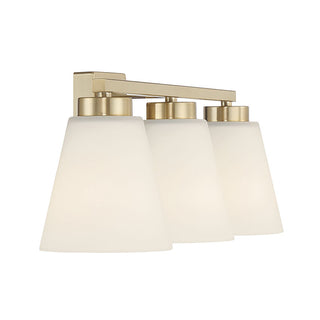 Strayhan 22" Wide 3-Light Vanity