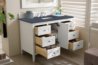 48 Inch Palisades Freestanding Vanity in Bright White / Charcoal Soapstone Top