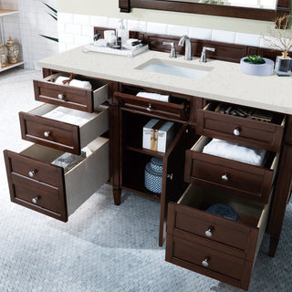 60 Inch Brittany Freestanding Vanity in Burnished Mahogany / Lime Delight Top