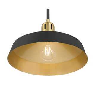 Axlen 12" Wide 1-Light Pendant