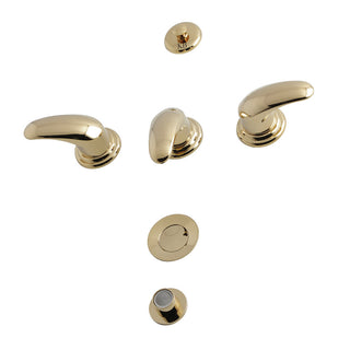Legacy Bidet Faucet in Polished Brass