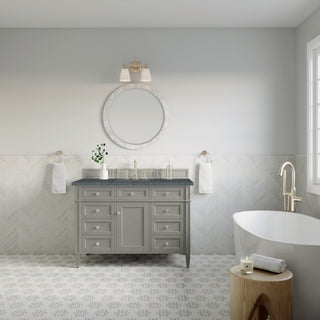 48 Inch Brittany Freestanding Vanity in Urban Gray / Parisien Bleu Top
