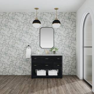 48 Inch Lucian Freestanding Vanity in Carbon Oak / Victorian Silver Top