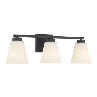 Strayhan 22" Wide 3-Light Vanity