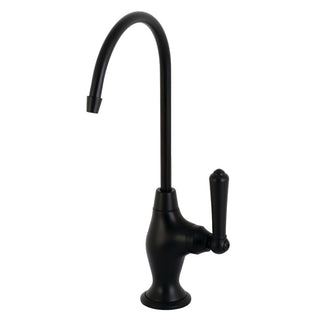 Magellan Water Filtration Faucet in Matte Black
