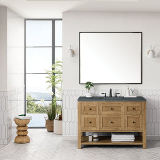 48 Inch Breckenridge Freestanding Vanity in Light Natural Oak / Parisien Bleu Top