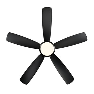 Airstra 52" LED Indoor/Outdoor Ceiling Fan