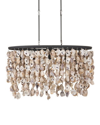 Stillwater Oyster Shell Oval Chandelier