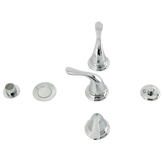 Royale Bidet Faucet in Polished Chrome