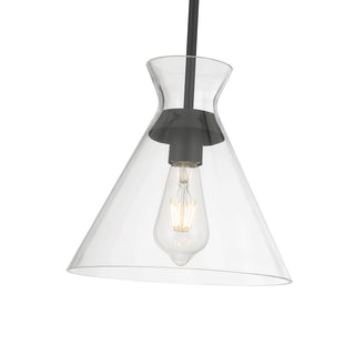 Amarella 10" Wide 1-Light Pendant