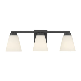 Strayhan 22" Wide 3-Light Vanity