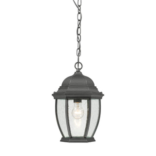 Covington 9.5'' Wide 1-Light Outdoor Pendant - Black