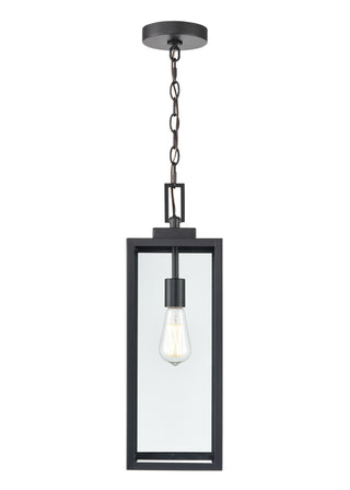 1-Light Outdoor Hanging Lantern - Powder Coated Black