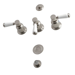 Paris Bidet Faucet in Brushed Nickel