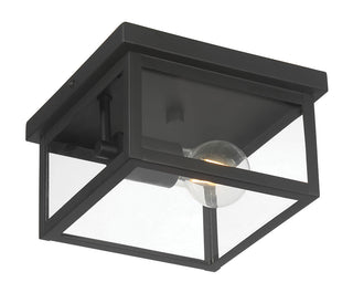 Evanton 8" Wide 1-Light Outdoor Flush Mount